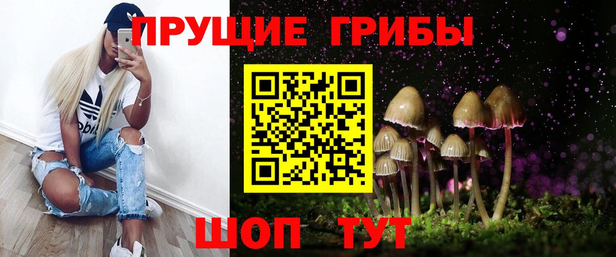 Псилоцибиновые грибы мицелий  Вход с VPN  Гудермес 